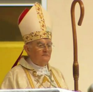 The Homily of Archbishop Henryk Hoser given on July 22, 2018